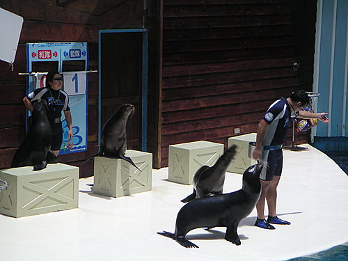 二度造訪花蓮遠雄海洋公園〈5〉