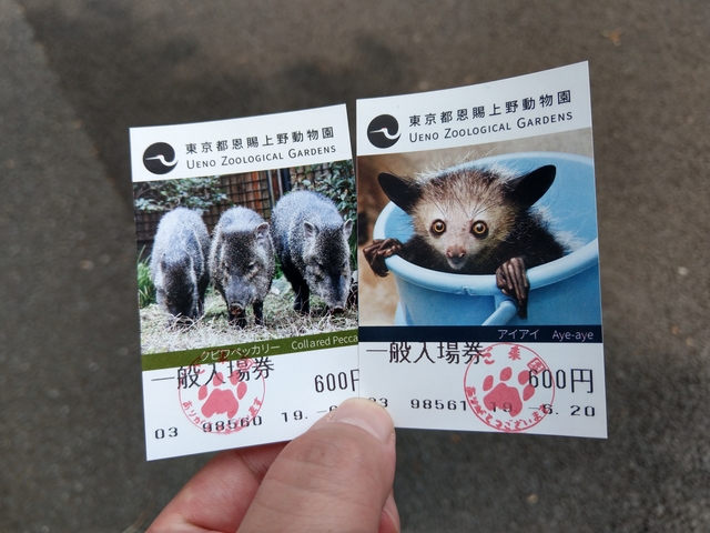 上野動物園的門票超可愛!