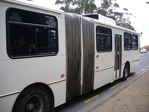 今天早上我們去阿得雷德港口玩所搭乘的公車