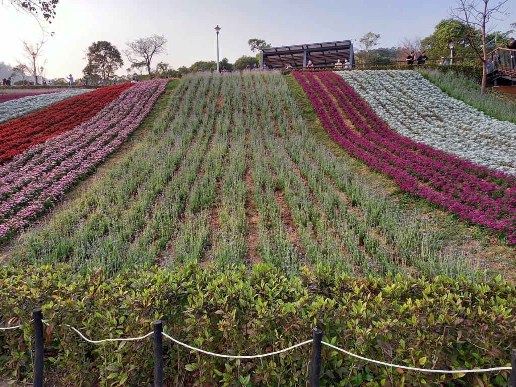 20210206_164537.jpg - 北投三層崎公園