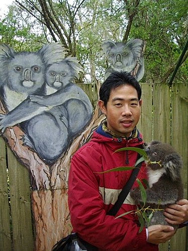 我在今天跑去南澳首府阿得雷德近郊的動物園抱了無尾熊