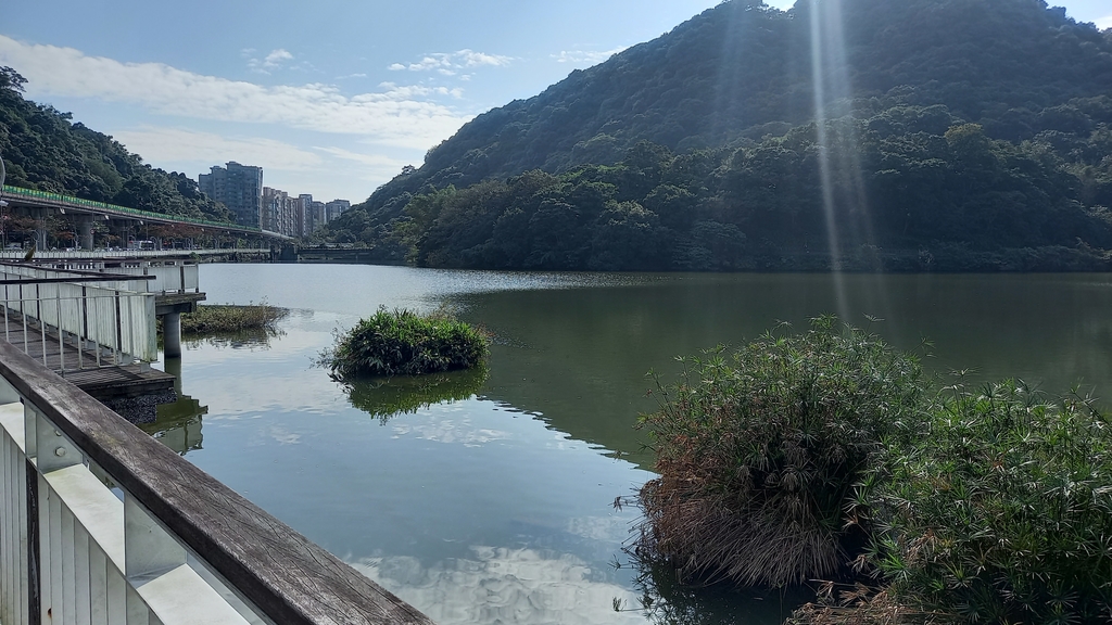 20230108_133853.jpg - 大湖公園