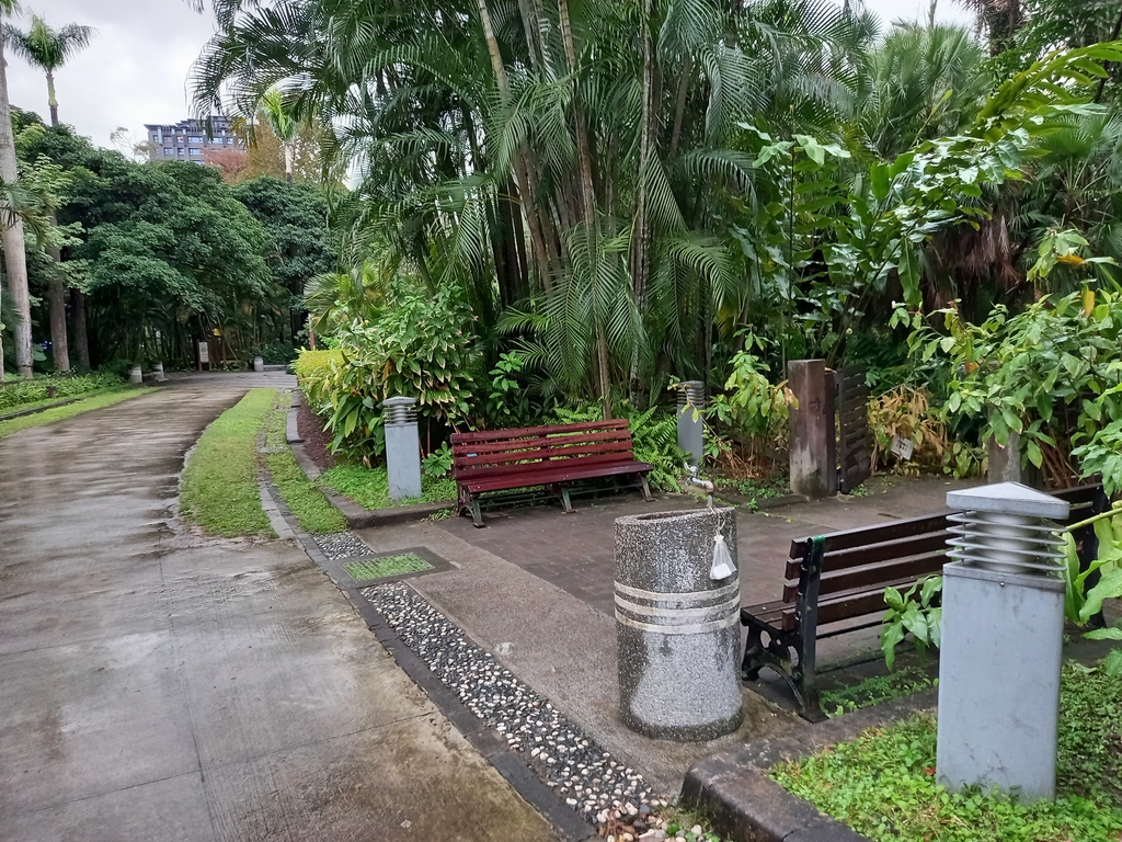 20210108_152646.jpg - 台北植物園