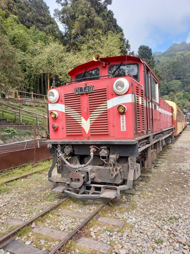 阿里山森林鐵路小火車 - 阿里山森林鐵路小火車