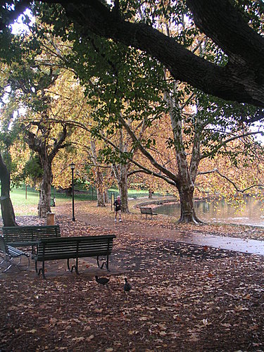 會讓我想起電影紐約的秋天場景的伯斯海德公園