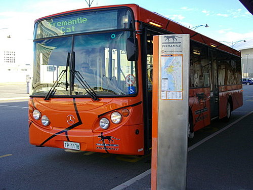 西澳首府伯斯近郊費里曼圖免費的橘貓公車