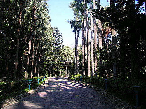 隆冬中的台北植物園〈下〉