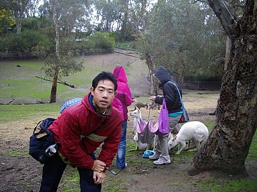 昨天跑去南澳首府阿得雷德郊區動物園玩的我(中)