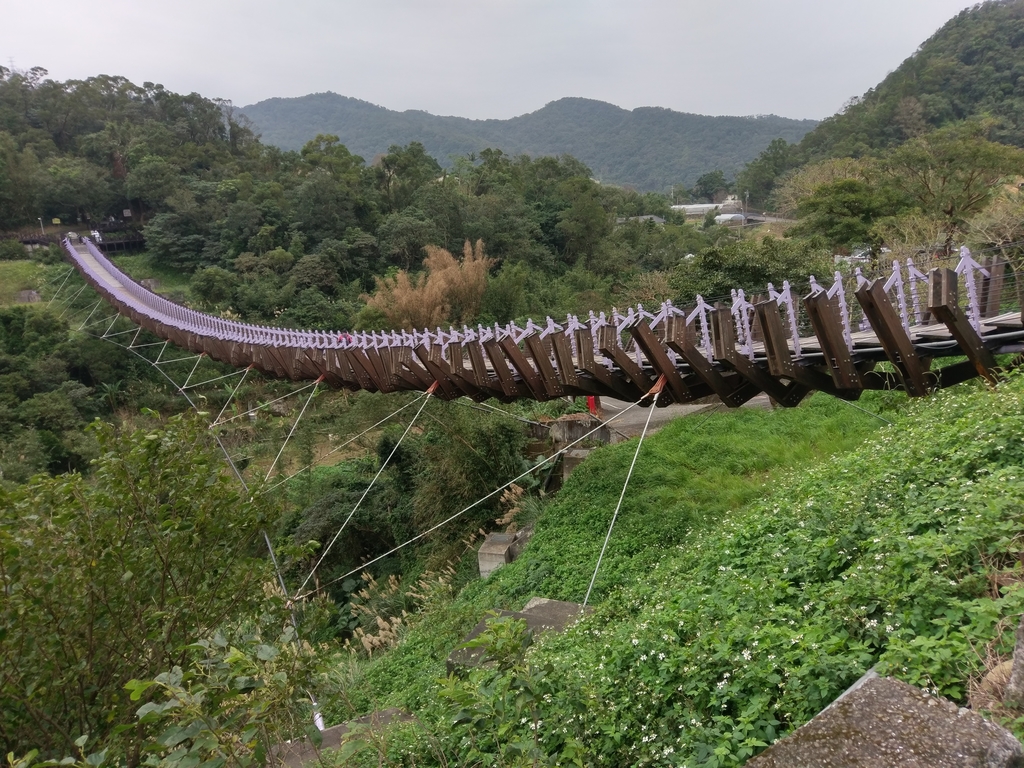 白石湖吊橋 - 白石湖吊橋