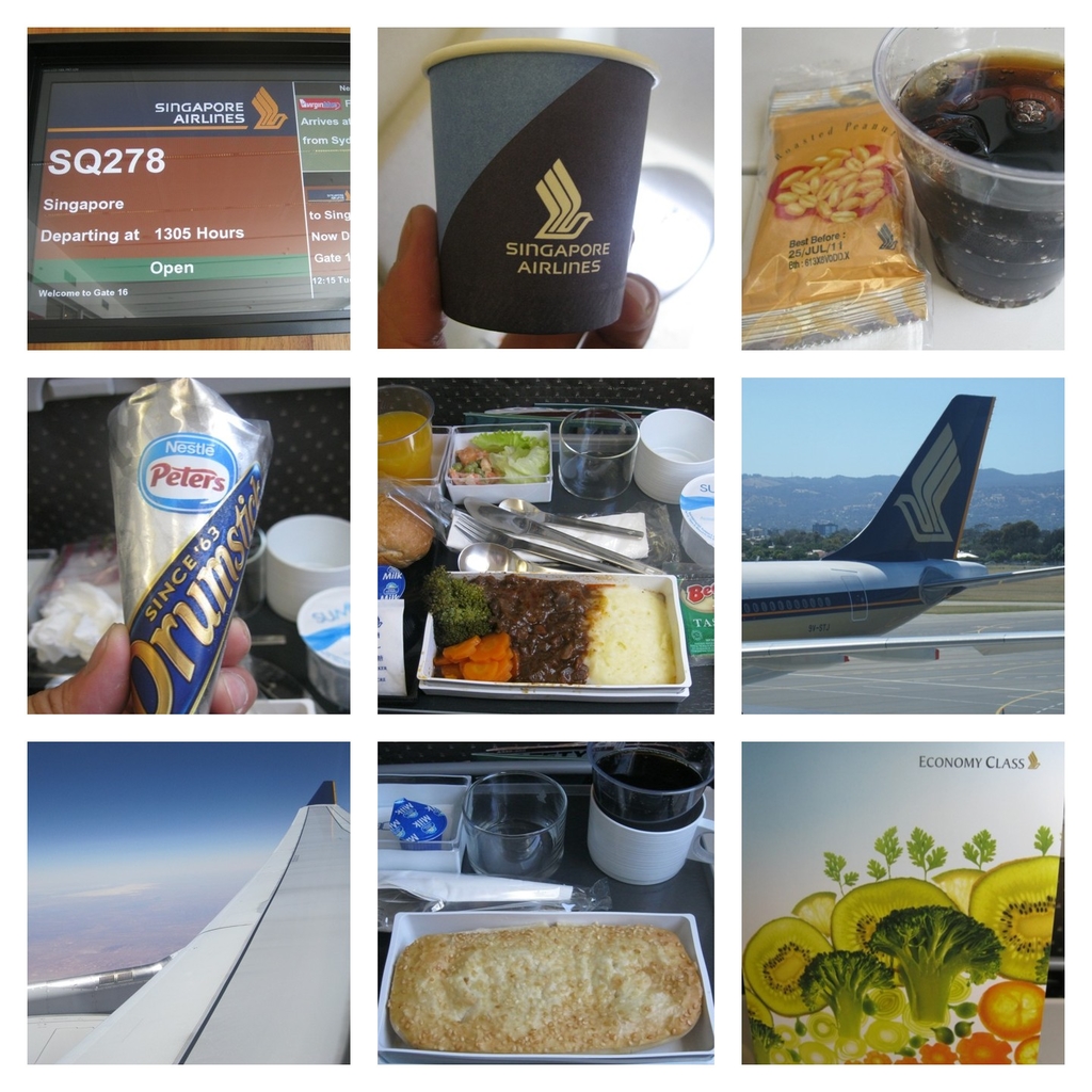 Collage 2020-06-08 09_17_45.jpg - 新航SQ278班機