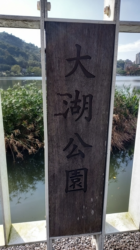 20230108_133909.jpg - 大湖公園